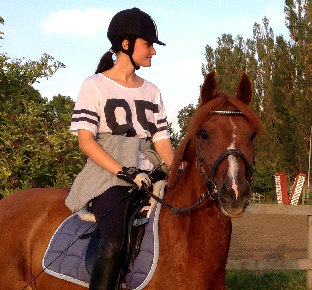 Anden særlig race Diablo billede 12