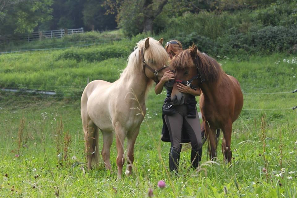 Islænder Ballerína fra Team Horse - Schweiz 2014 billede 6