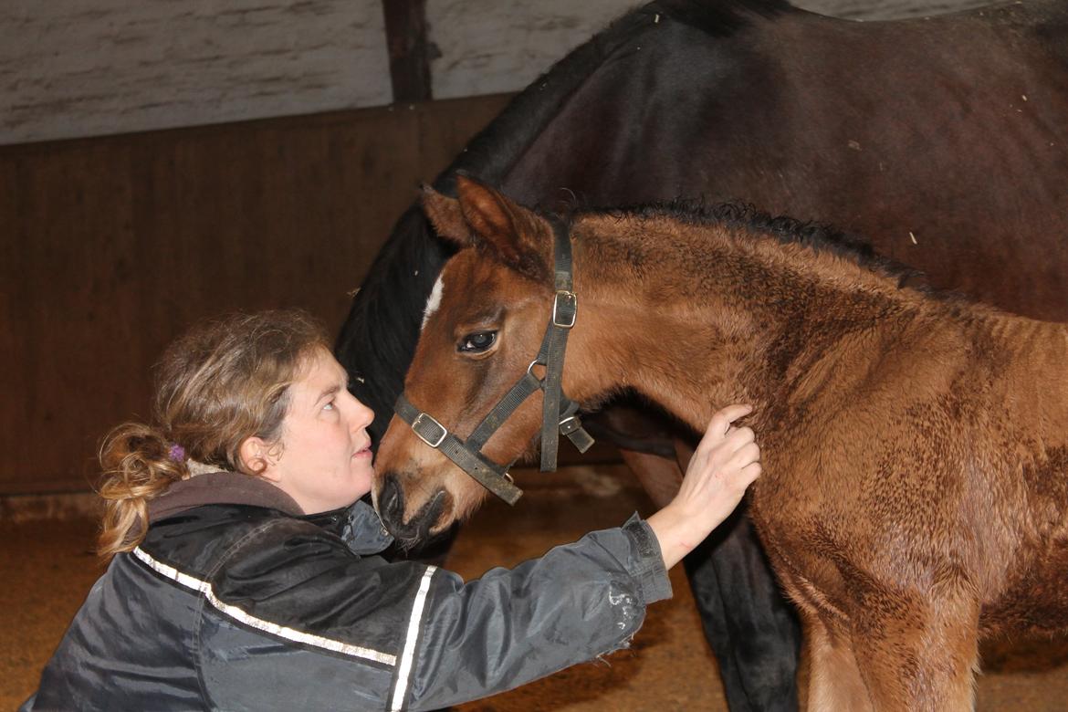 Anden særlig race Nuit d'hiver Felix - Hun er godt nok sød. billede 9