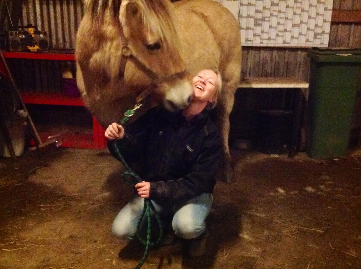 Fjordhest Ronja billede 29