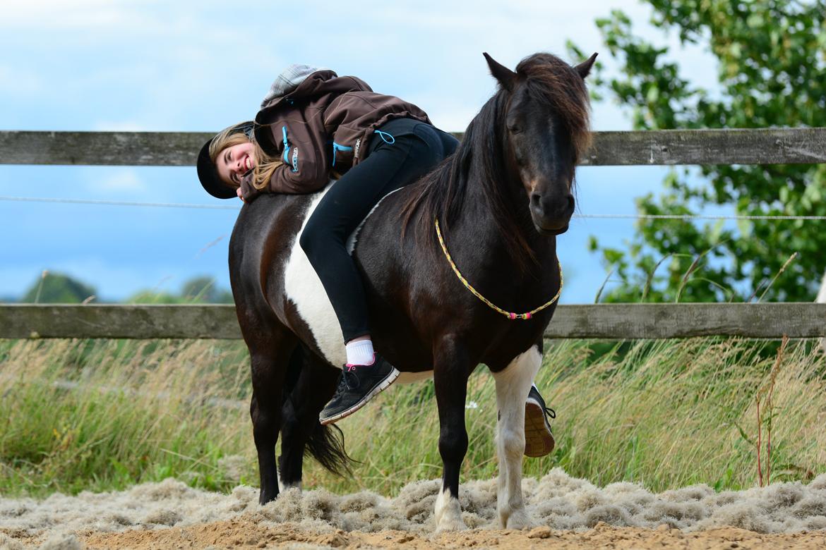 Anden særlig race Bastian - Afslappet "ridning" på banen, må man sige ♥ Juni 2014 (taget af Kaja) billede 13