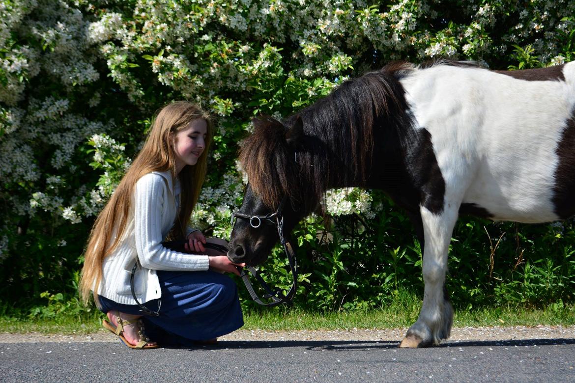 Anden særlig race Bastian - Første gang med fotograf på, på en knap så vellykket tur ♥ Maj 2014 (Taget af Asta) billede 9