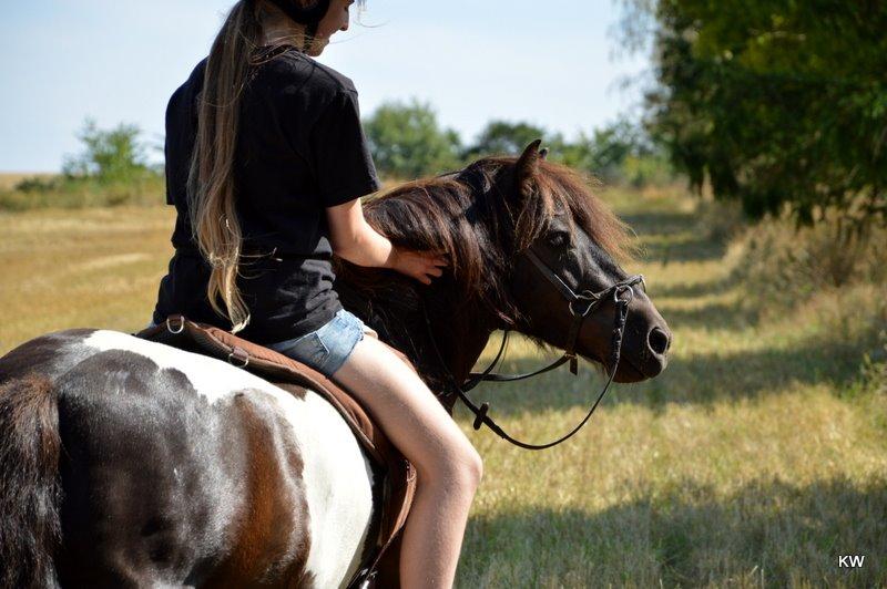 Anden særlig race Bastian - Lille tur på stubmarken ♥ Juli 2014 (taget af Kaja) billede 14