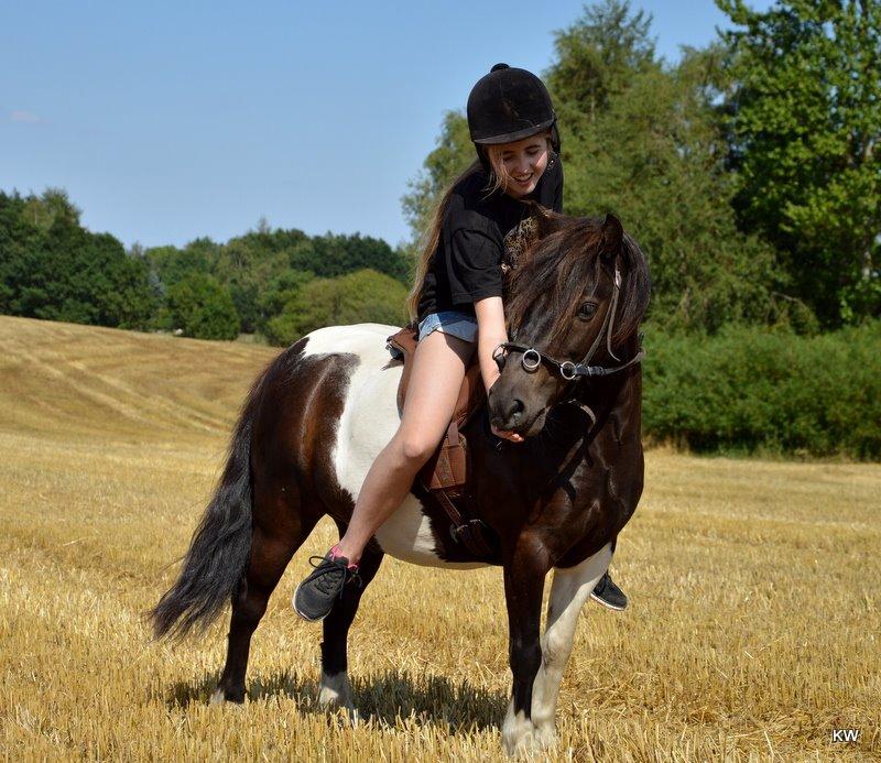 Anden særlig race Bastian - På stubmarken ♥ Juli 2014 (taget af Kaja) billede 15