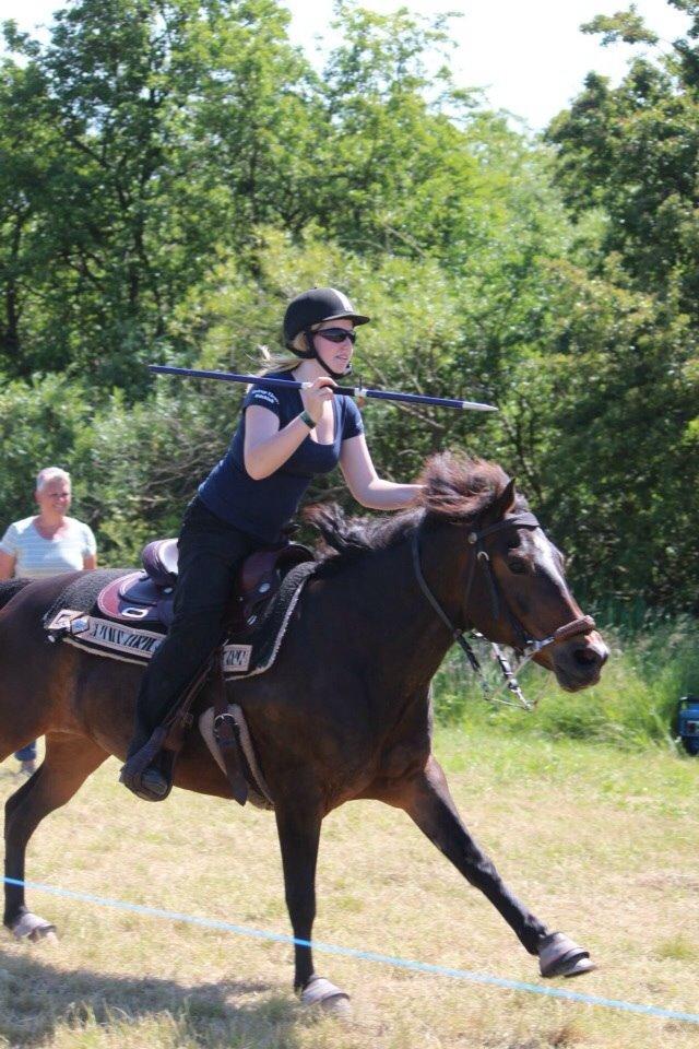 New Forest Freja billede 6