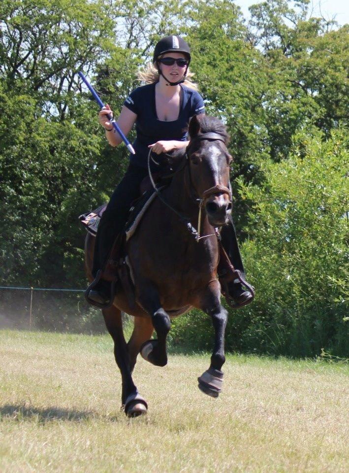 New Forest Freja billede 8