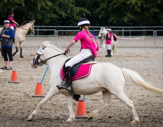 Anden særlig race Perle - DM i Ponygames - Sommeren 2014 billede 12