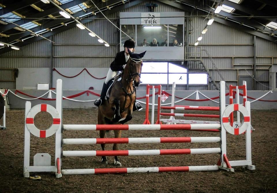 Engelsk Varmblod Hamiltons Heart Of Joy billede 2