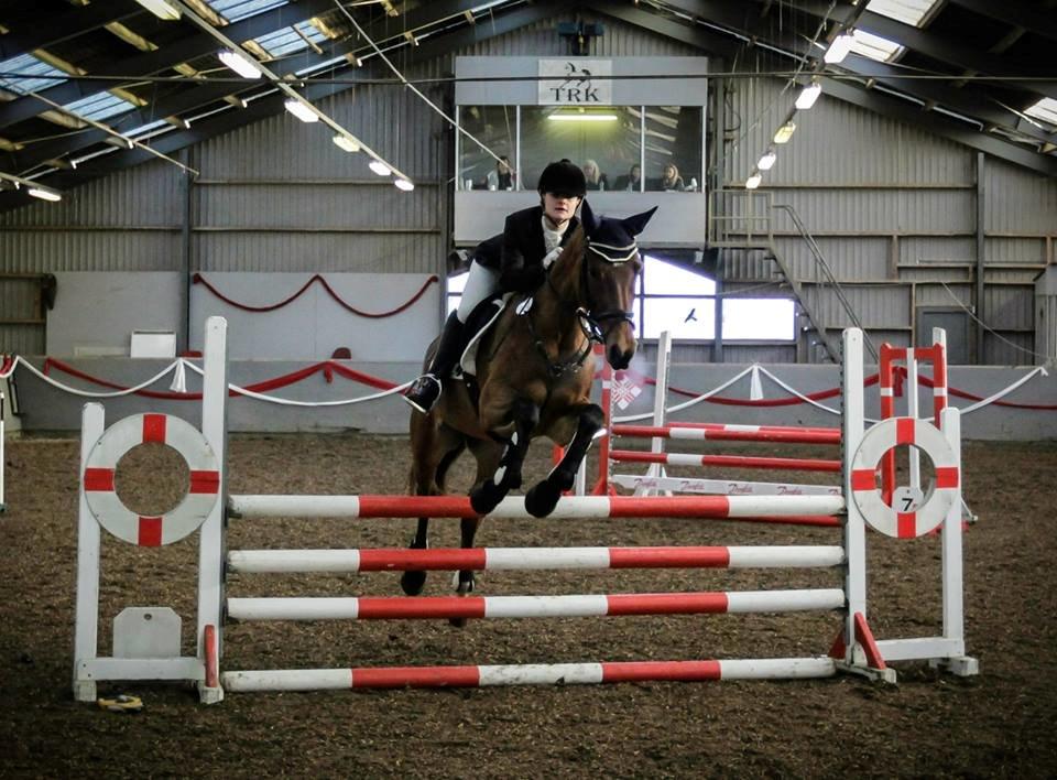 Engelsk Varmblod Hamiltons Heart Of Joy billede 12