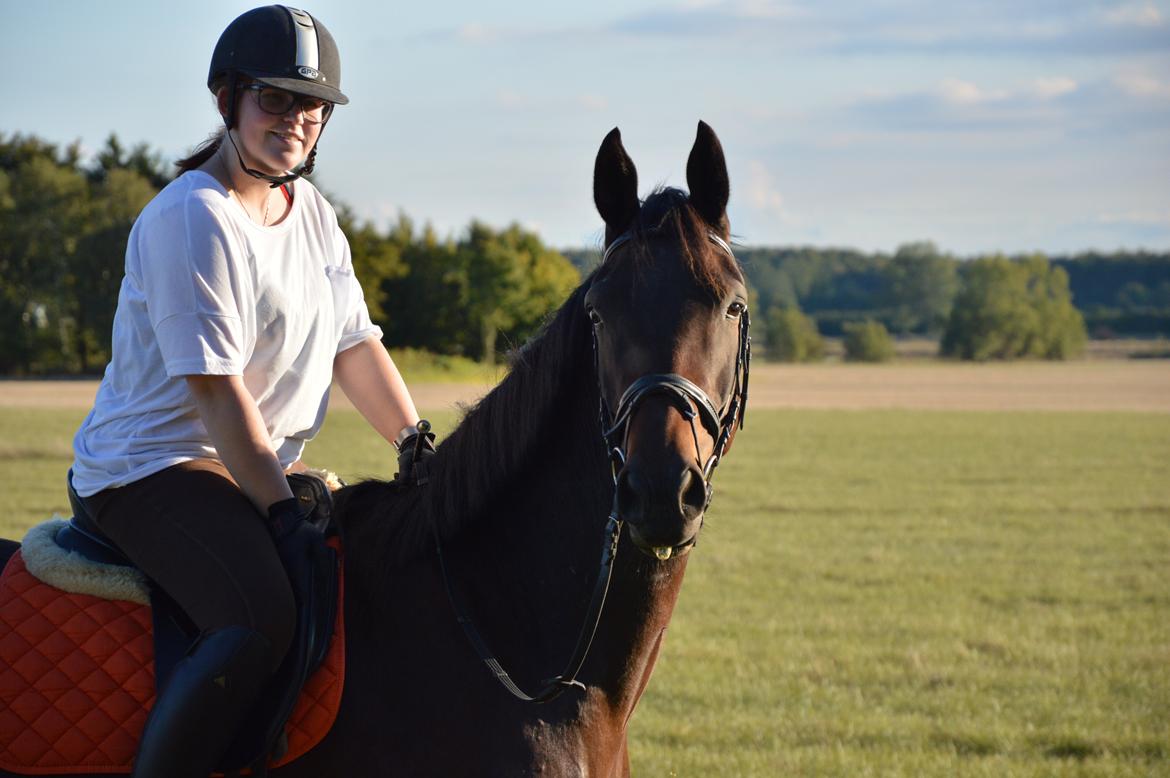 Anden særlig race Kildegårds Kanico billede 1