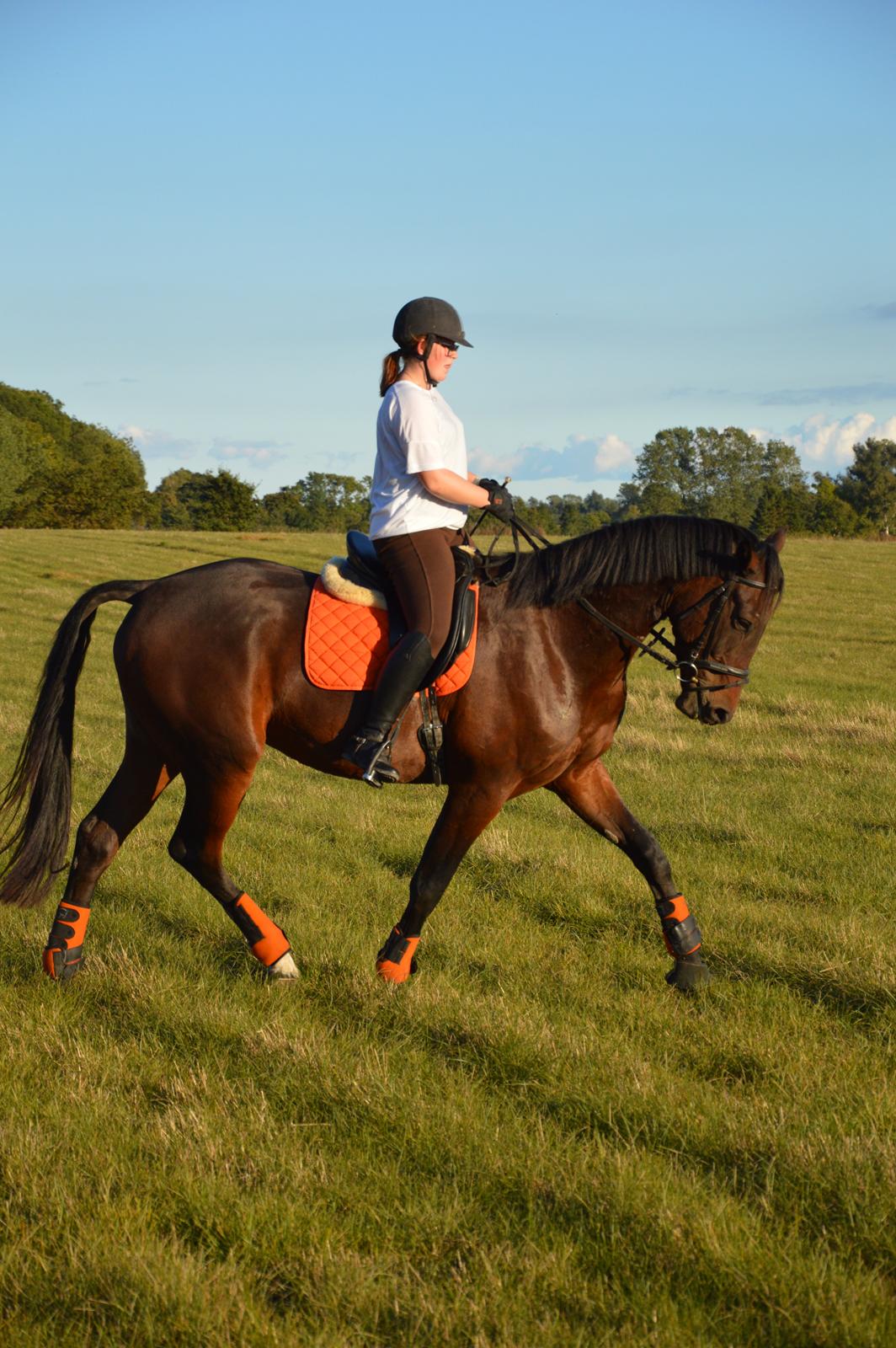 Anden særlig race Kildegårds Kanico billede 21