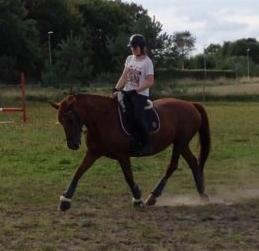 Anden særlig race Charming Sahlina billede 7