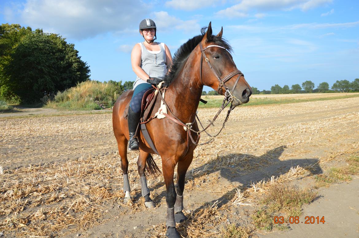 Anden særlig race Kildegårds Kanico billede 31