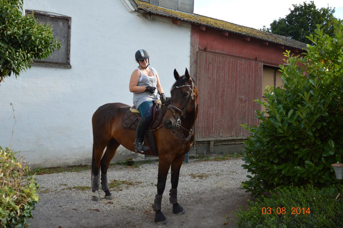 Anden særlig race Kildegårds Kanico billede 32