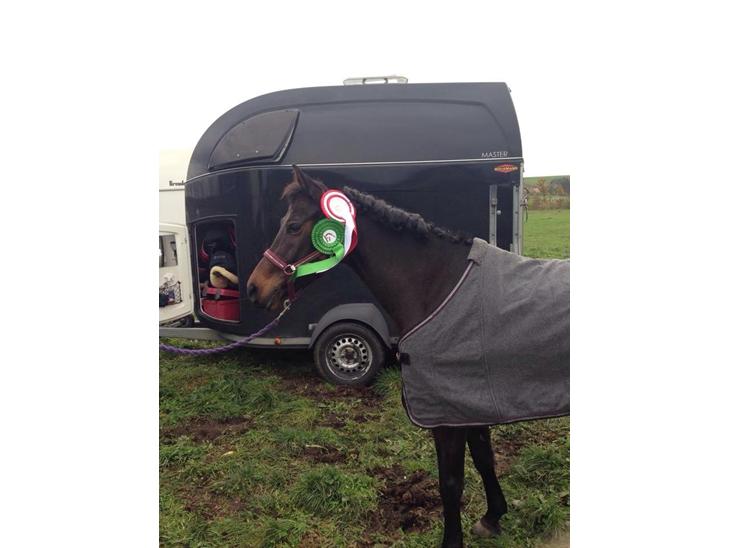 {{currentPhoto.altText}} billede {{currentPhoto.number}}