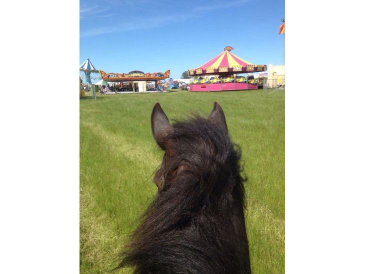 {{currentPhoto.altText}} billede {{currentPhoto.number}}