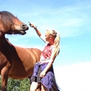 Anden særlig race labello