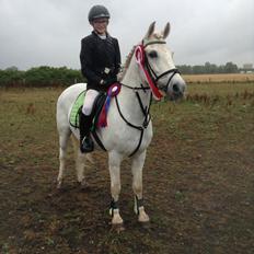 Anden særlig race Prins