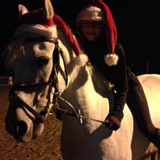 Anden særlig race Prins