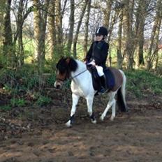 Anden særlig race Wasabi