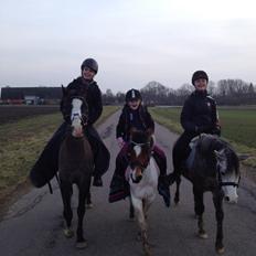 Anden særlig race Wasabi