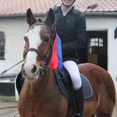 Anden særlig race Fair Play [ELEVPONY]