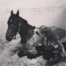 Fuldblod (XX) Bailey Blue