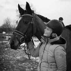 Tysk Oldenburger Lilly Marleen (Lille Lilly)