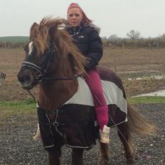 Anden særlig race Silas*.