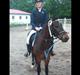 New Forest Ida´s Moonlight *Monty*