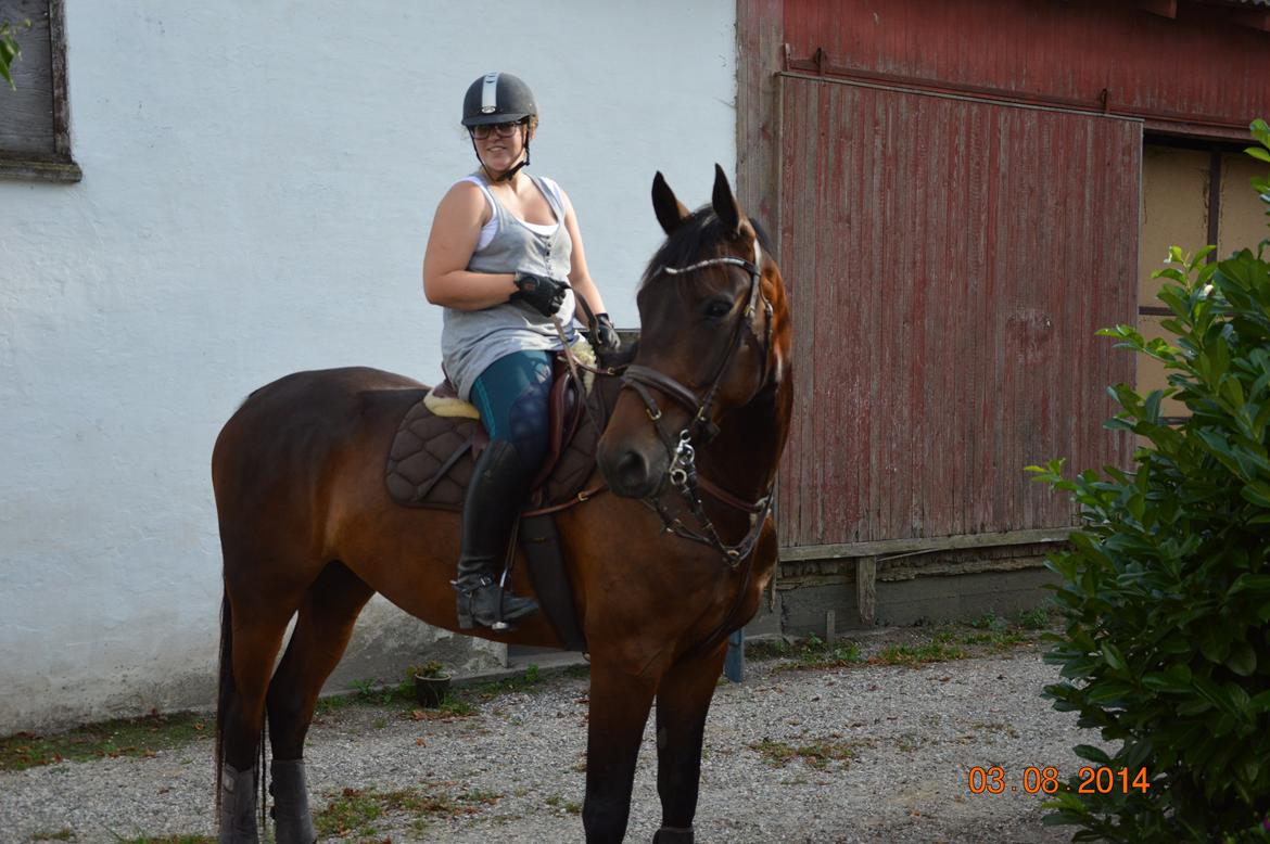 Anden særlig race Kildegårds Kanico billede 33