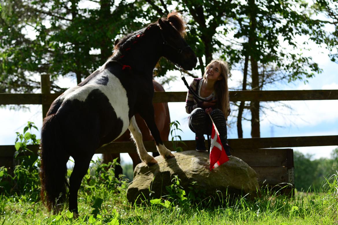 Anden særlig race Bastian - Bastian og jeg på Bastians 8 års fødselsdag ♥ Juni 2014 (taget af Kaja) billede 34