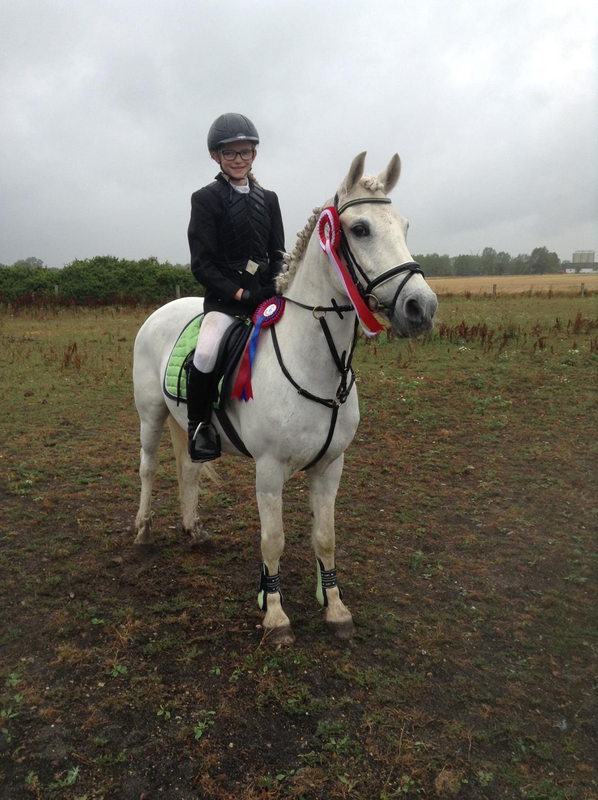 Anden særlig race Prins billede 1