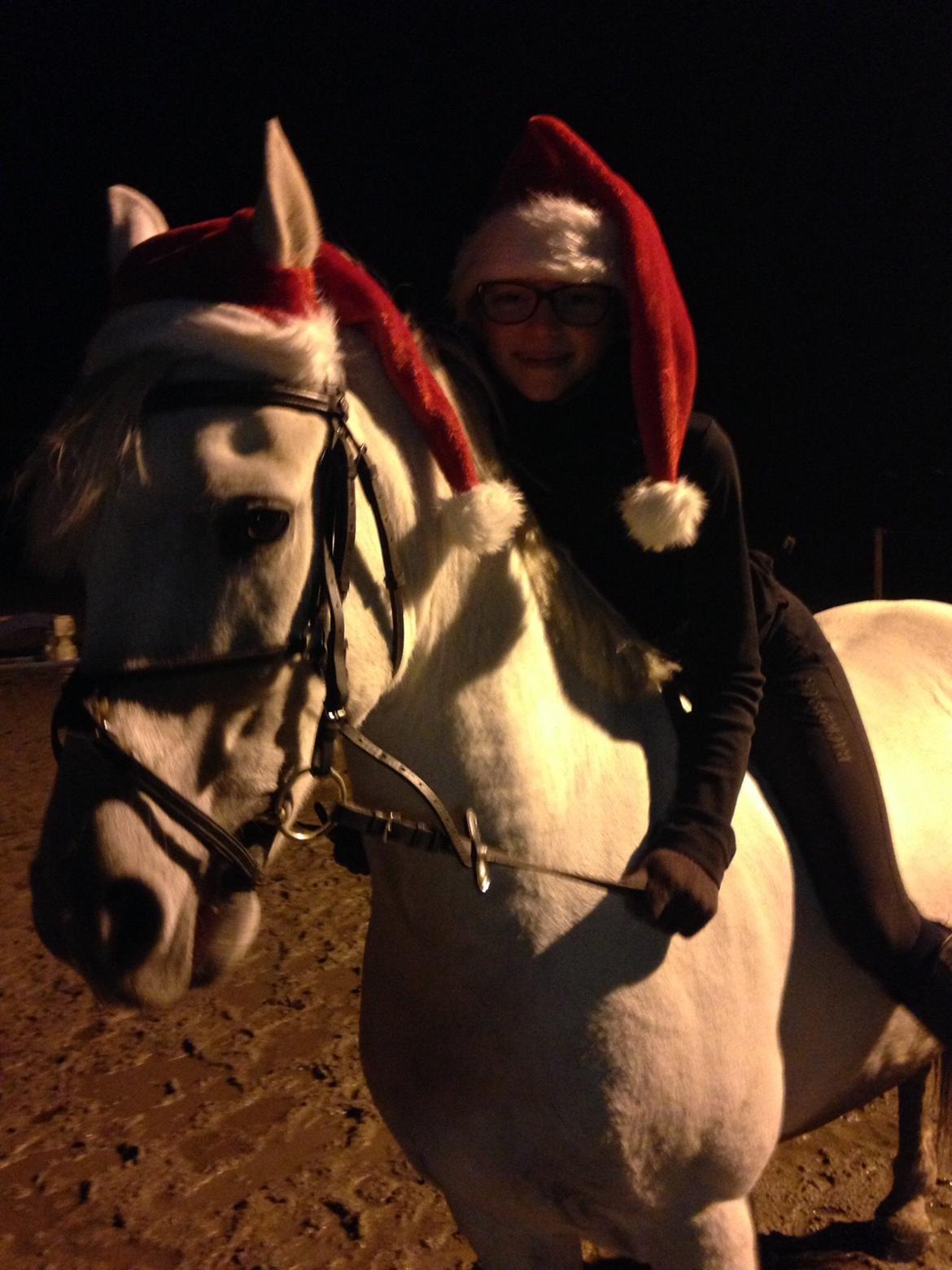 Anden særlig race Prins billede 2