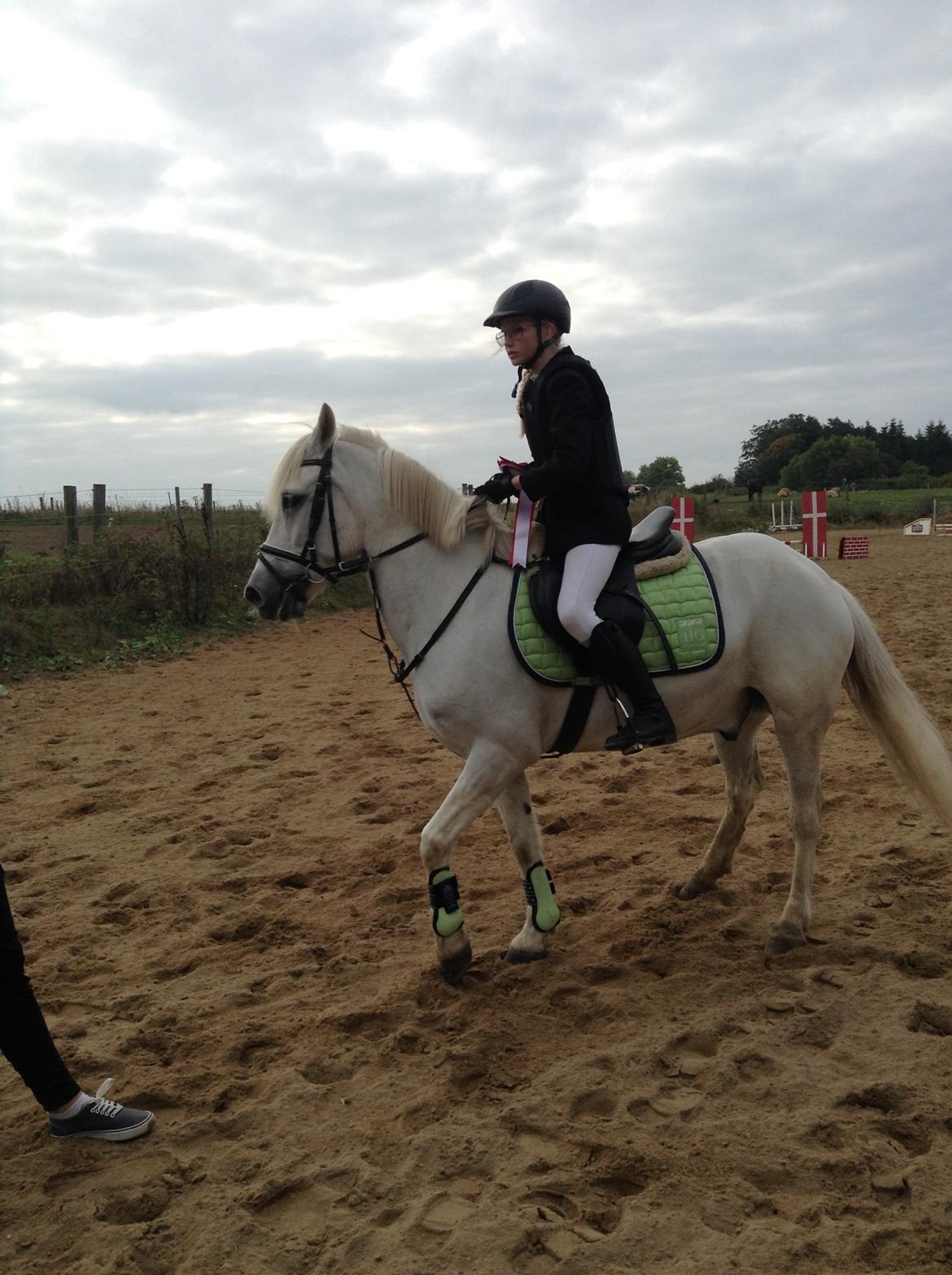 Anden særlig race Prins billede 3