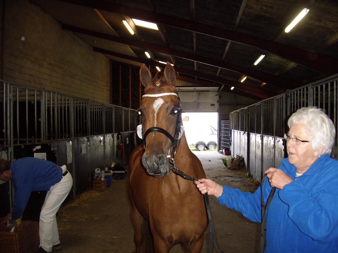 DSP Foxy Girl billede 2