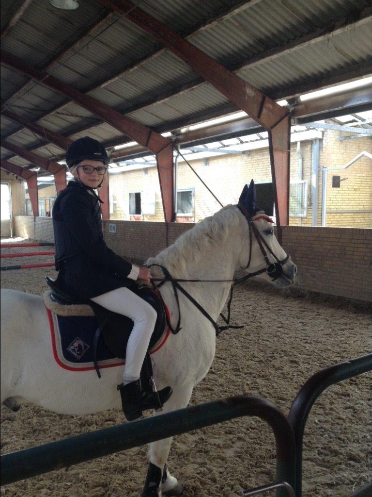 Anden særlig race Prins billede 4