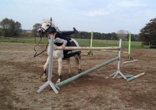 Anden særlig race Prins billede 5