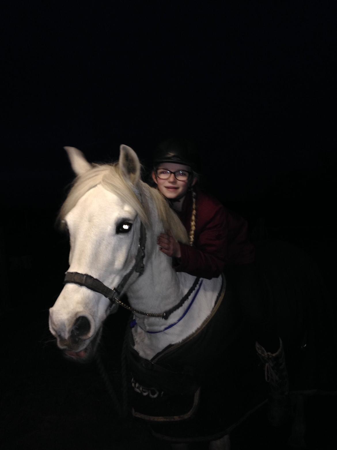 Anden særlig race Prins billede 8