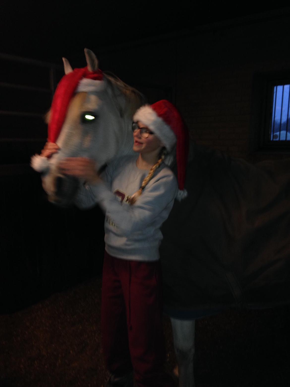 Anden særlig race Prins billede 9