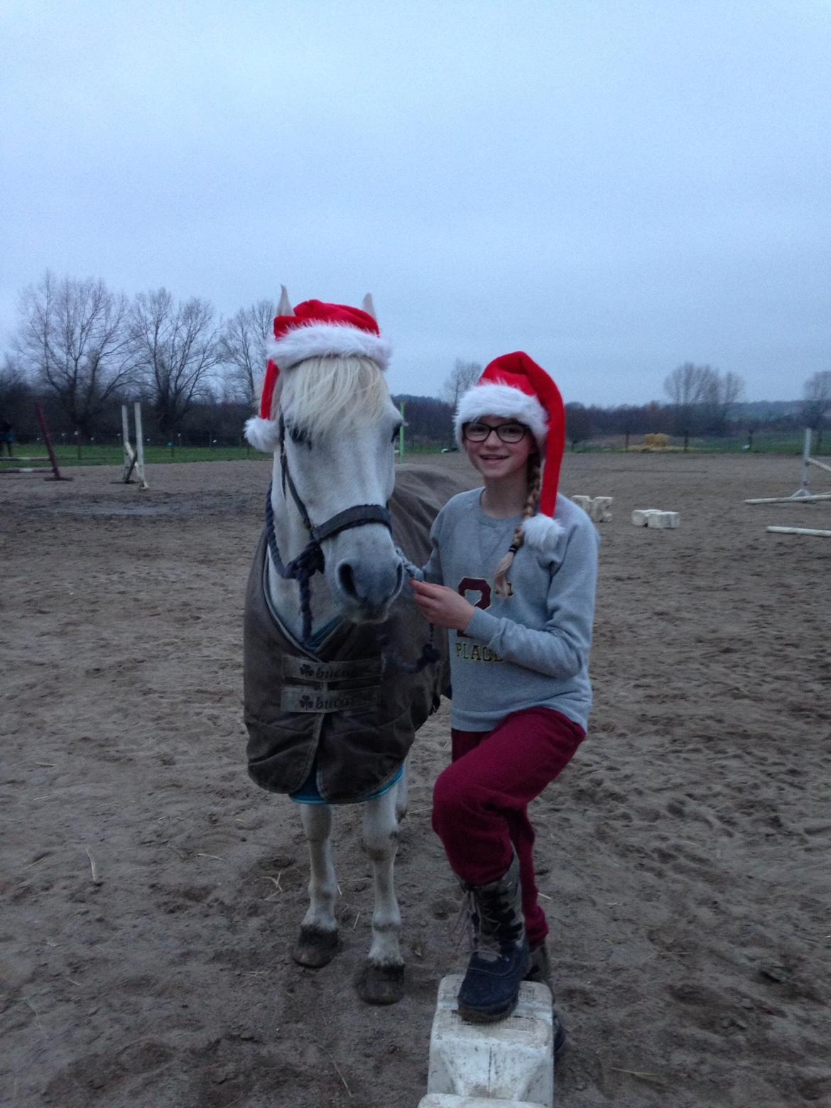 Anden særlig race Prins billede 10