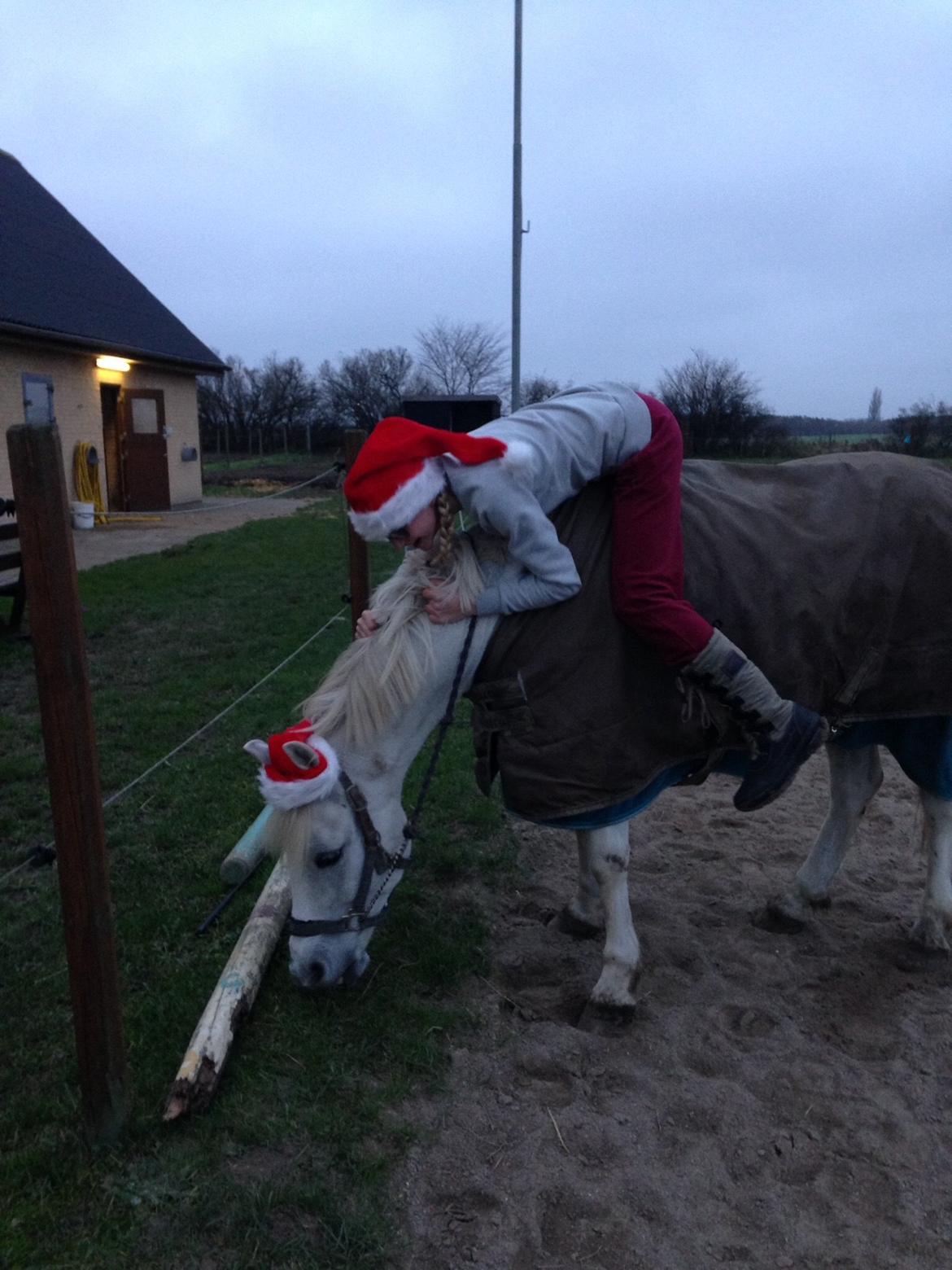 Anden særlig race Prins billede 11