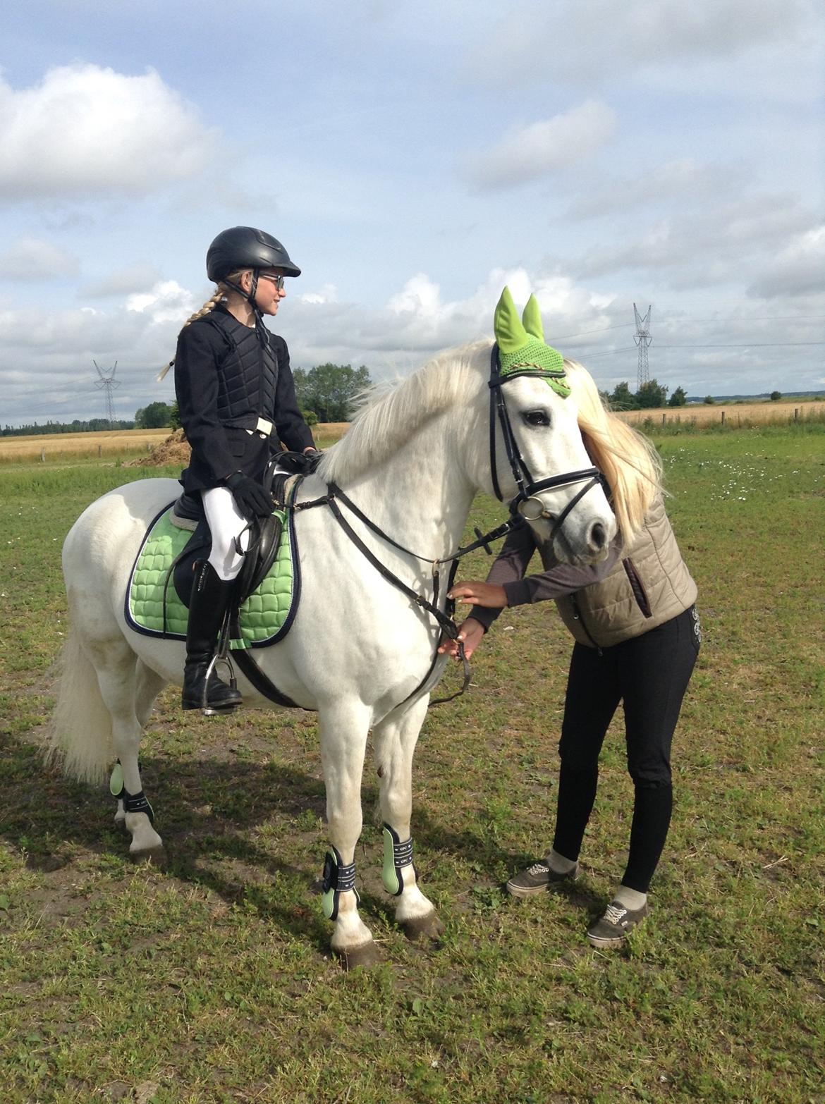 Anden særlig race Prins billede 12