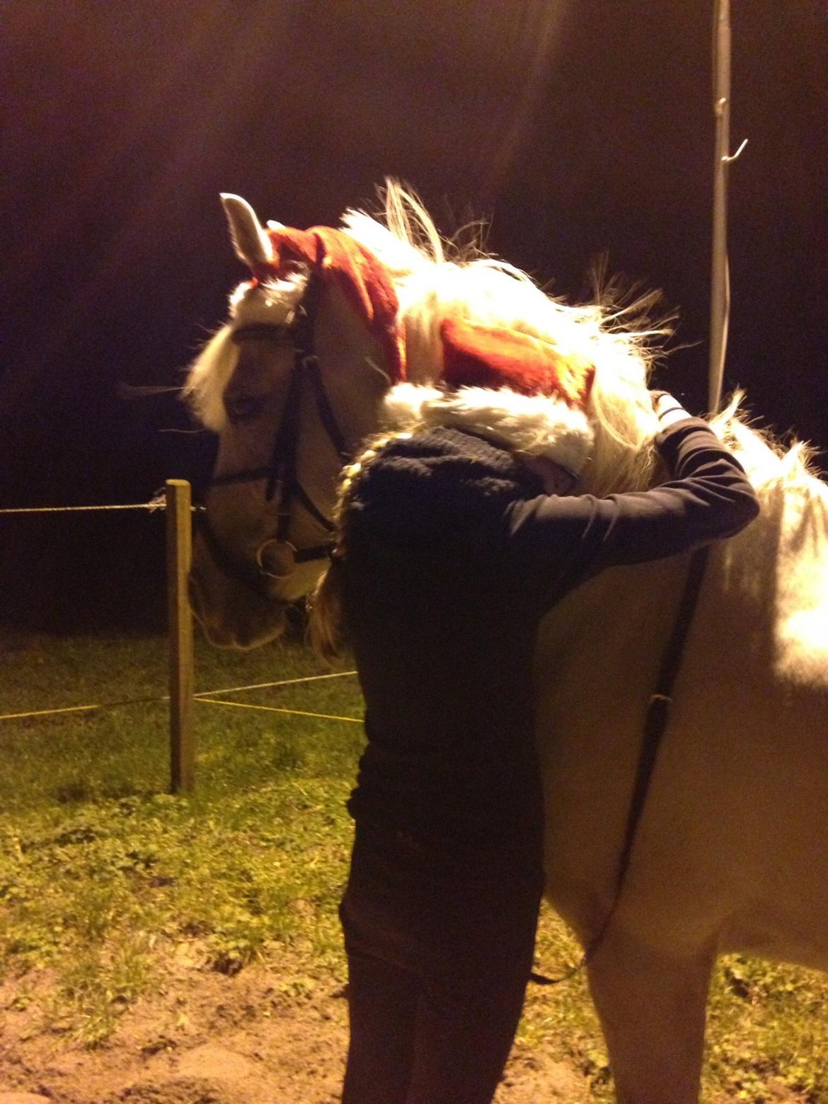 Anden særlig race Prins billede 13