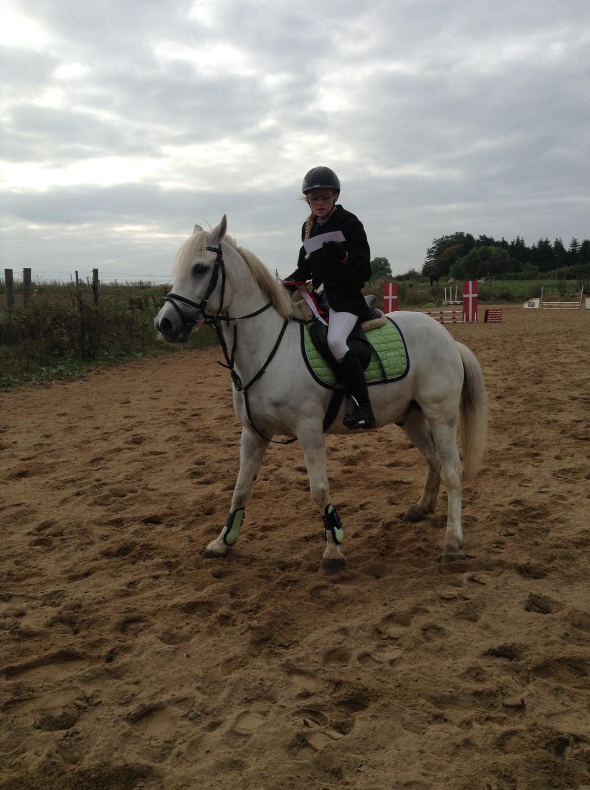 Anden særlig race Prins billede 14