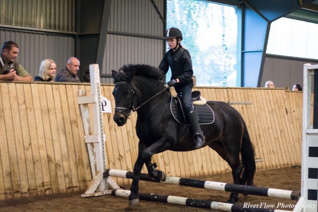 Anden særlig race Karoline - Stævne i BIG, ring og rid. billede 2