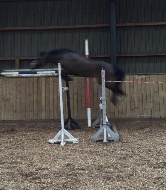 DSP Lundgaards Friday billede 11