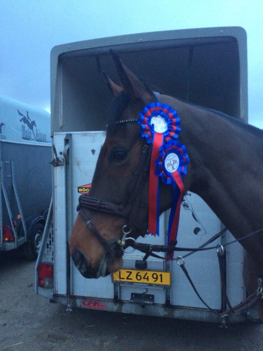 Holstener Enghøjs Pia billede 28