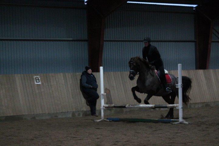 Anden særlig race Cekita R.I.P billede 18