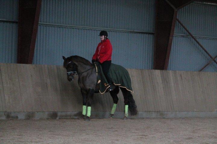 Anden særlig race Cekita R.I.P billede 19